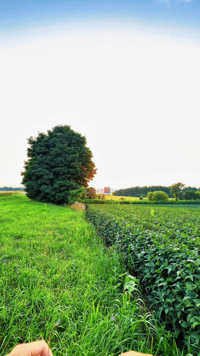 Lunaris™ Adaptive Sunglasses